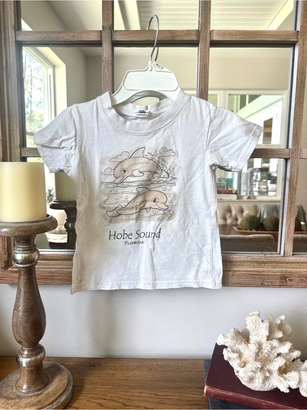 Sun Exposure Color Changing Hobe Sound Florida Kids White Dolphin Graphic Tee